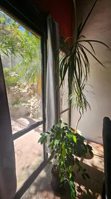 a window with a potted plant in front of it at Balcón de las sierras in Villa Carlos Paz