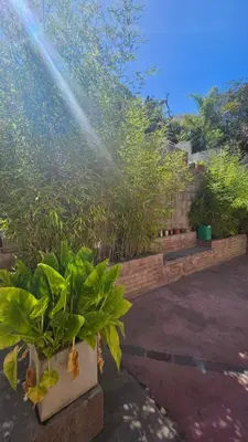 a sprinkler watering a plant in a garden at Balcón de las sierras in Villa Carlos Paz