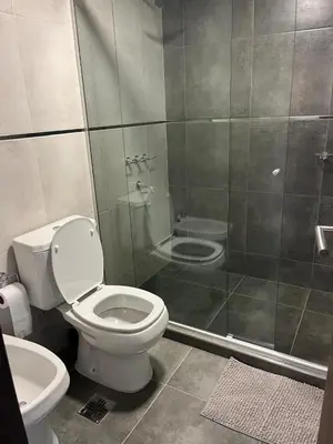 a bathroom with a toilet and a shower at Departamento centrico en carlos paz in Villa Carlos Paz
