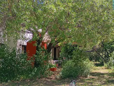 a dog sitting in front of a house under a tree at Arcadia in Merlo