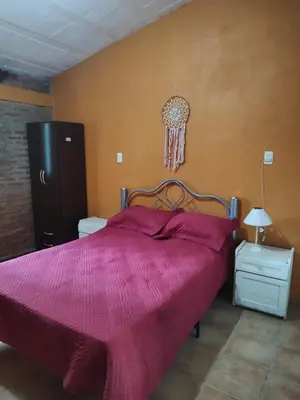 a bedroom with a bed with a pink comforter at Tia Clau 1 in Villa Cura Brochero