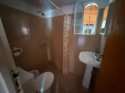 a small bathroom with a toilet and a sink at Hosteria las Palmeras in Mina Clavero