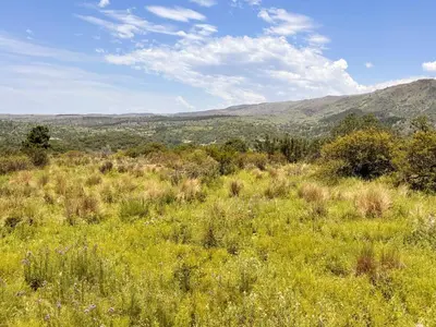 a field of grass with mountains in the background at Alojamiento en san clemente Pampa y Rio cabaña Lihuel in Santa María