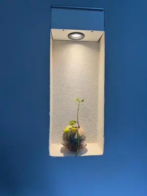 a small plant in a box on a blue wall at SuiteMilSueños in Arroyo de Los Patos