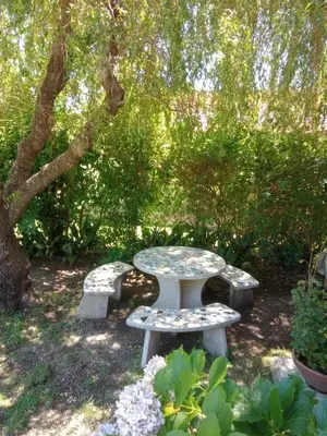 a table and two benches sitting under a tree at Valle de Bendición in El Rincón