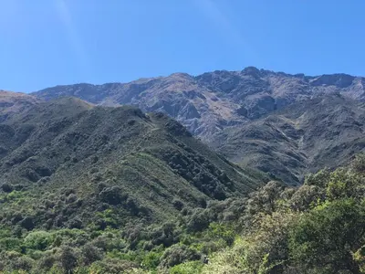 a view of a mountain range with trees at Puesto Kupuka in Villa de Las Rosas