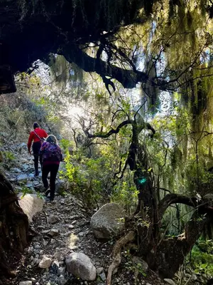 two people walking on a trail in a forest at Puesto Kupuka in Villa de Las Rosas