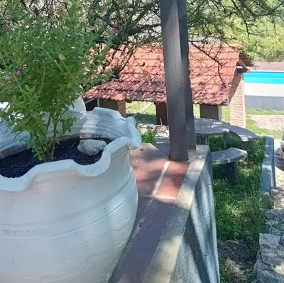 a large white planter with a plant in it at La Calandria in Villa Serranita