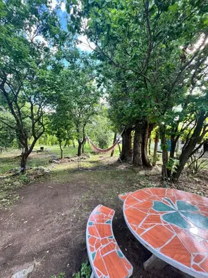 a table with a flower painted on it next to trees at Bendecida Depto in La Paz