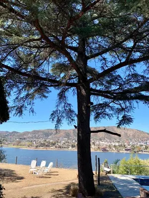 a group of chairs and a tree next to a lake at casa vista al lago in Villa Carlos Paz