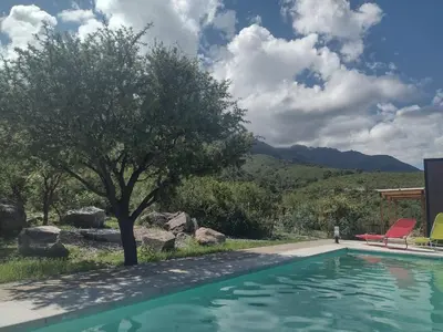 a swimming pool with a tree and mountains in the background at 