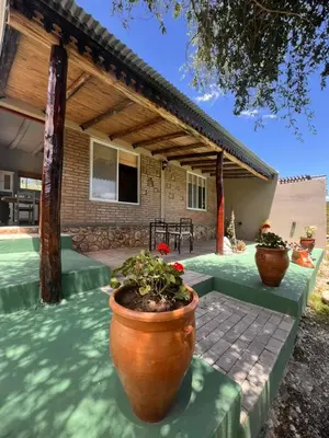 a patio with two large potted plants in front of a house at Los Jilgueros in Los Hornillos