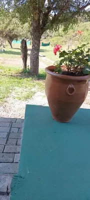 a flower pot sitting on top of a table at Los Jilgueros in Los Hornillos