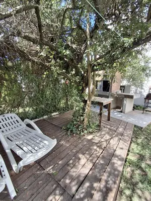 a wooden deck with a bench and a tree at Los Tilos in Mina Clavero