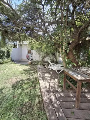 a wooden picnic table under a tree in a yard at Los Tilos in Mina Clavero