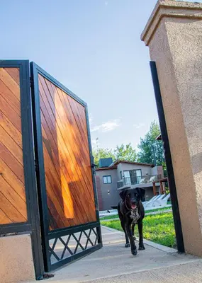 a dog walking through an open door at Complejo Montana in Potrero de Garay