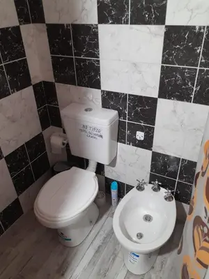 a bathroom with a toilet and a sink at La casa de Daniel in Villa Santa Cruz del Lago