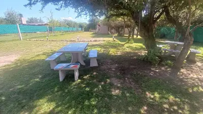 a picnic table and two benches under a tree at Armonia cabaña de campo- Rincón de Afrodita in San Lorenzo