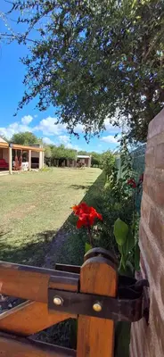 a wooden bench with a flower pot on it at Armonia cabaña de campo- Rincón de Afrodita in San Lorenzo