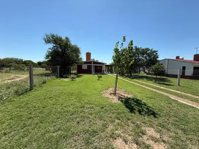 a tree in a field with a house in the background at Cabaña El Chaparral Villa Dolores, Traslasierra 4 in Villa Dolores