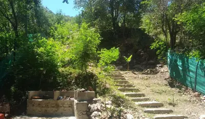 a set of stone steps leading down a hill with trees at Monarcas II in Villa Carlos Paz