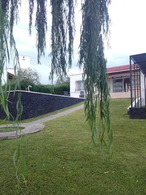 a tree in the grass with a building in the background at Casa en Lomas del Rey - Mayu Sumaj in San Antonio de Arredondo