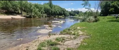 a river with some grass and a field and trees at cabaña rustica in Bialet Massé
