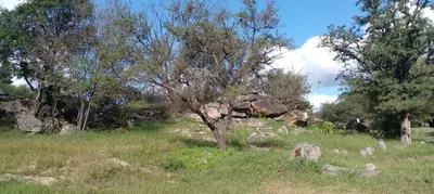 a group of trees and rocks in a field at Tierra de Mariposas in Alta Gracia