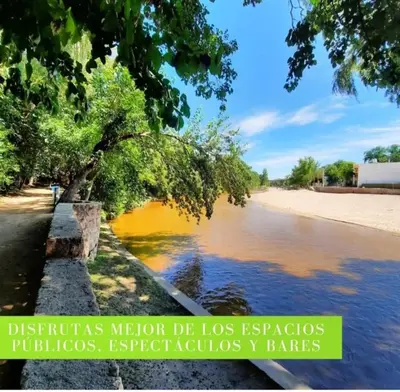 a tree on the side of a river at Apart Centro Zazu in Mina Clavero
