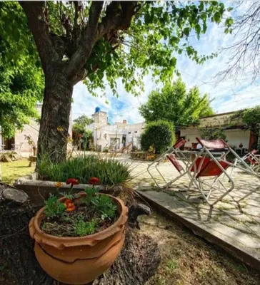 a large flower pot sitting next to a tree at Apart Centro Zazu in Mina Clavero