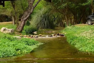 a herd of animals walking across a river at Algarrobo del Valle in San Javier