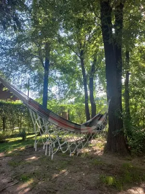 a hammock hanging from a tree in a park at Casa Milan in Villa General Belgrano