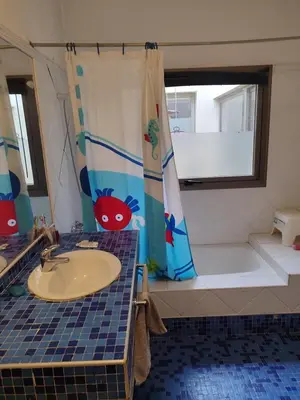 a bathroom with a shower curtain and a sink and a tub at The House you're looking for in Cordoba