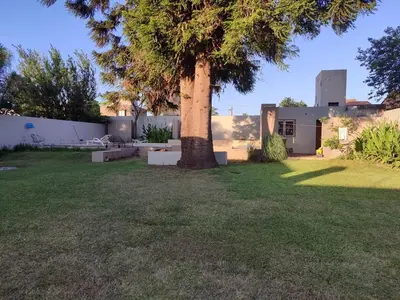 a palm tree in the yard of a house at The House you're looking for in Cordoba