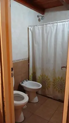 a bathroom with a toilet and a shower curtain at Cabañas Lago Azul in Villa Santa Cruz del Lago