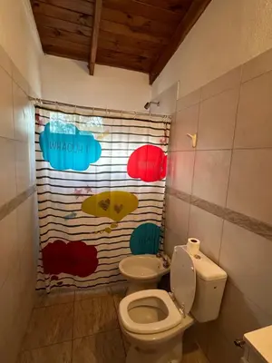 a bathroom with a toilet and a mural on the wall at Cabañas las marias 3 in Tanti Nuevo