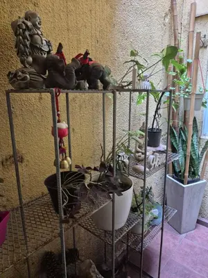 a shelf with a bunch of plants on it at Apartamento en Villa Carlos Paz in Villa Carlos Paz