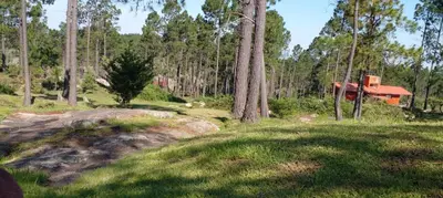 a house in the woods with trees and grass at Cabañas Aldea Lucerna La Cumbrecita in La Cumbrecita