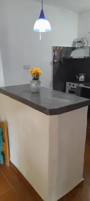 a kitchen counter with a vase of flowers on it at Todo cerca in Mina Clavero