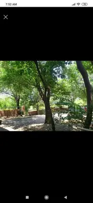 two photographs of trees in a park at Cabaña con piscina compartida in Mina Clavero