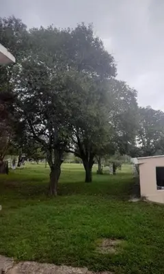 a group of trees in a field with a building at Casa Valle Buena Esperanza in Alta Gracia