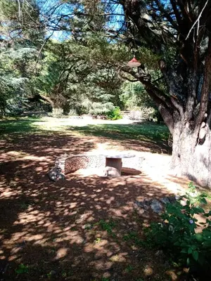 a bench sitting under a tree in a park at Casa Ortiz in Villa Canada del Sauce