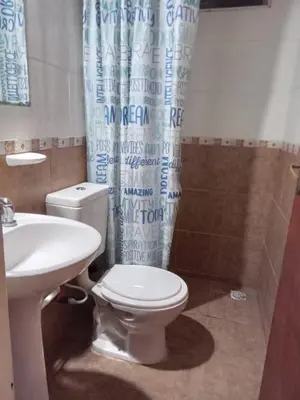 a bathroom with a toilet and a sink and a shower curtain at Monoambiente con piscina compartida in Mina Clavero