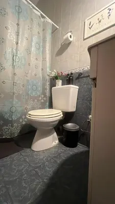 a bathroom with a toilet and a shower curtain at CENTRO CORDOBA departamento 2 dormitorios in Cordoba