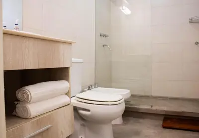 a white bathroom with a toilet and a shower at El Nuevo Obispo, ubicación 5 estrellas, balcón y pileta in Cordoba