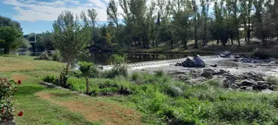 a pond in a park with a river and trees at Complejo Pichona - Villa Carlos Paz - San Antonio in San Antonio de Arredondo