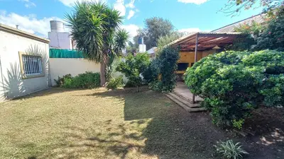 a house with a palm tree next to a yard at Casa verde - cerca Hospital Privado y Quality in Cordoba