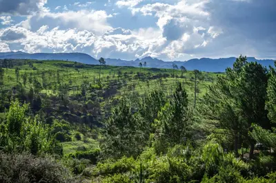 a field with trees and mountains in the background at Terracota Eco-Casa Intiyaco 6 Pax in Atos Pampa