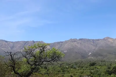 a view of a mountain range with a tree at Refugio de las nubes in Las Rabonas