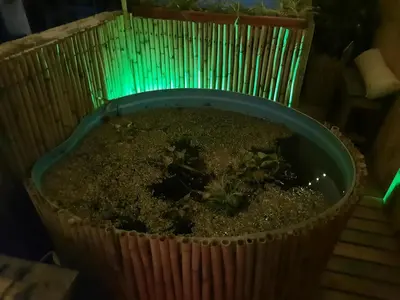a planter with a plant in it with a green light at Derpa Zion in Cordoba